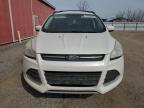 2013 Ford Escape Se zu verkaufen in London, ON - Minor Dent/Scratches