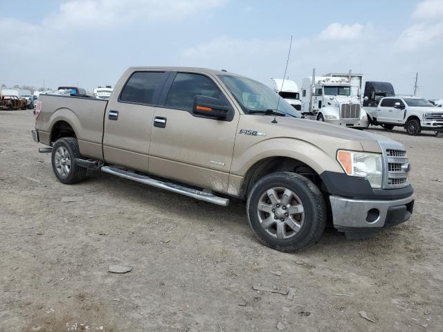  FORD F-150 2013 Золотий