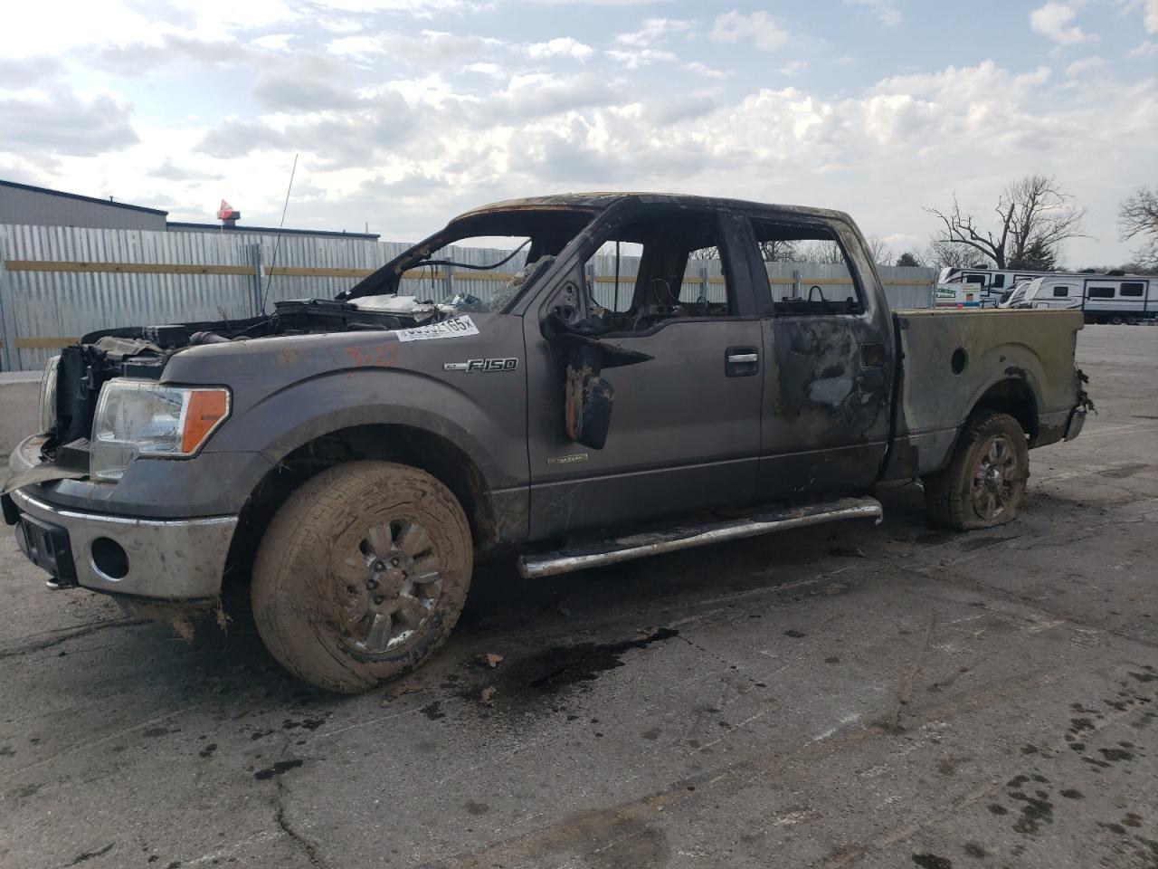 2011 Ford F150 Supercrew for Sale in Rogersville, MO - Burn