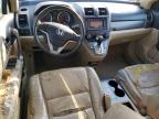 2008 Honda Cr-V Exl продається в Augusta, GA - Undercarriage