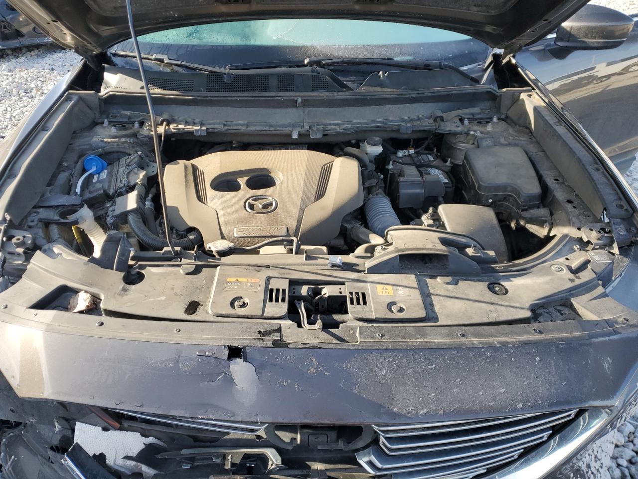 2019 Mazda Cx-9 Touring VIN: JM3TCBCY7K0328561 Lot: 49669455
