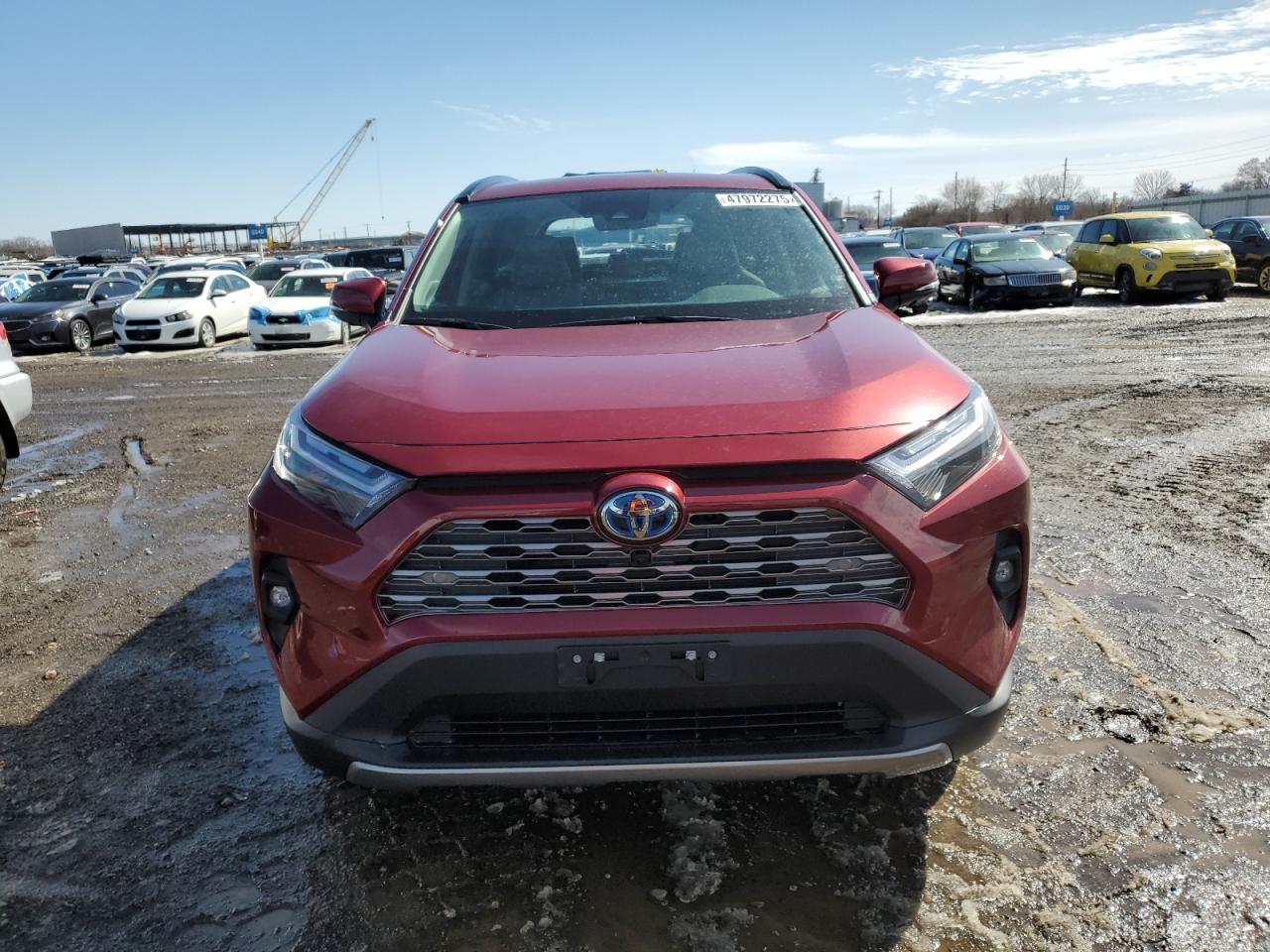 2024 Toyota RAV 4 - Image 5