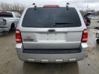 2009 Ford Escape Xlt for Sale in Louisville, KY - Hail