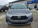 2021 Honda Odyssey Exl for Sale in Louisville, KY - Hail