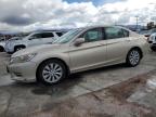 2013 Honda Accord Exl de vânzare în Sun Valley, CA - Front End