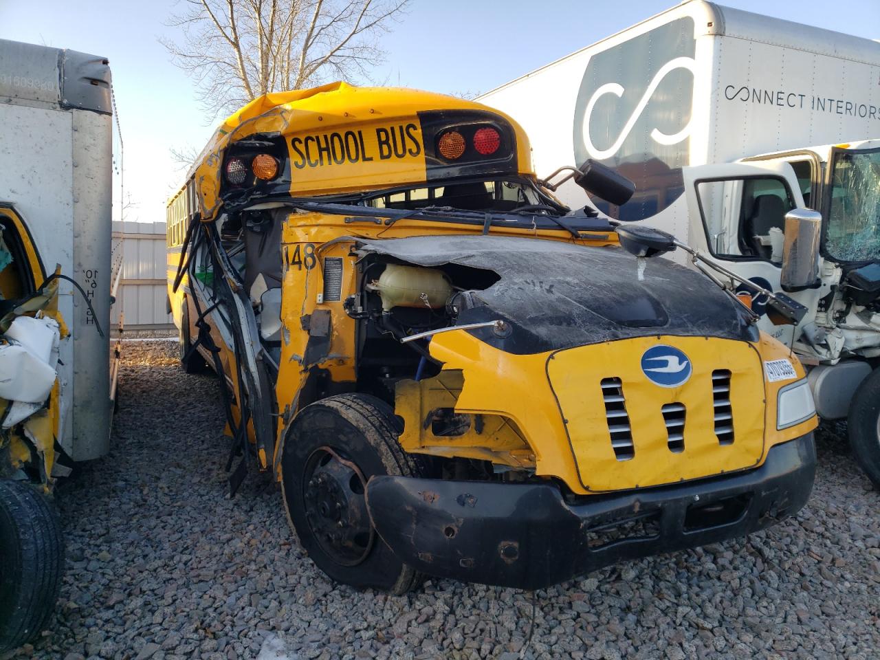 2018 Blue Bird School Bus / Transit Bus للبيع في Avon، MN - Front End