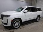 2023 Cadillac Escalade Premium Luxury للبيع في Orlando، FL - Normal Wear