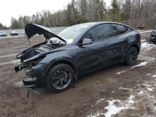  TESLA MODEL Y 2024 Szary