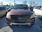 2013 Mercedes-Benz Ml 350 Bluetec للبيع في Riverview، FL - Side