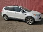 2013 Ford Escape Se zu verkaufen in London, ON - Minor Dent/Scratches