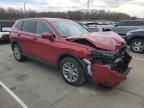 2025 Honda Cr-V Exl for Sale in Louisville, KY - Front End
