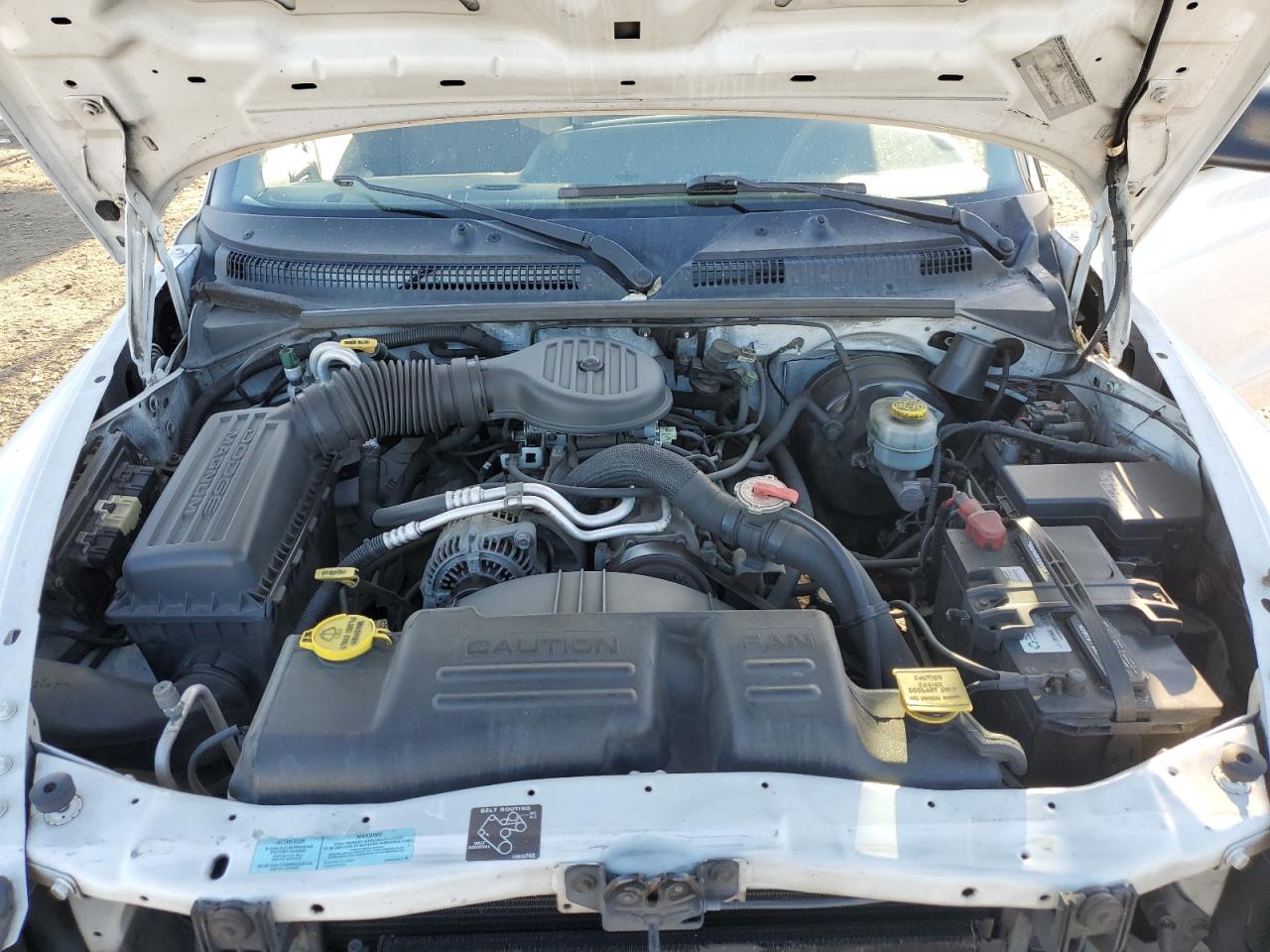 2000 Dodge Dakota - Image 13