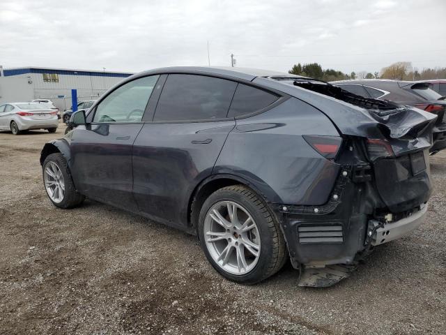  TESLA MODEL Y 2024 Gray
