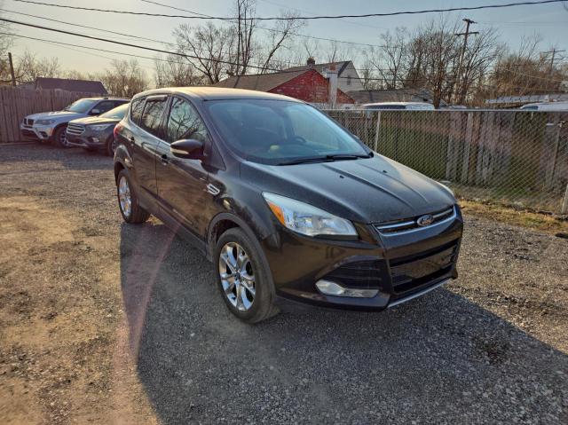 2013 Ford Escape Sel na sprzedaż w Columbus, OH - Normal Wear