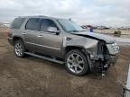 2011 Cadillac Escalade Premium for Sale in Brighton, CO - Front End