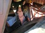 2016 Kenworth T660 Semi Truck de vânzare în Rapid City, SD - Rollover