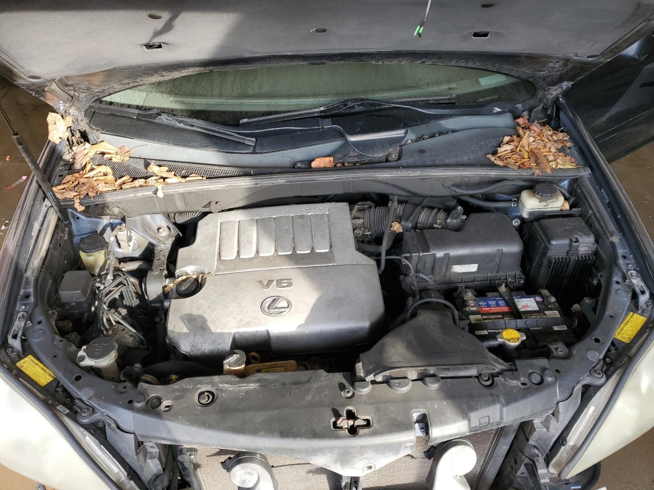 2007 Lexus RX - Image 12