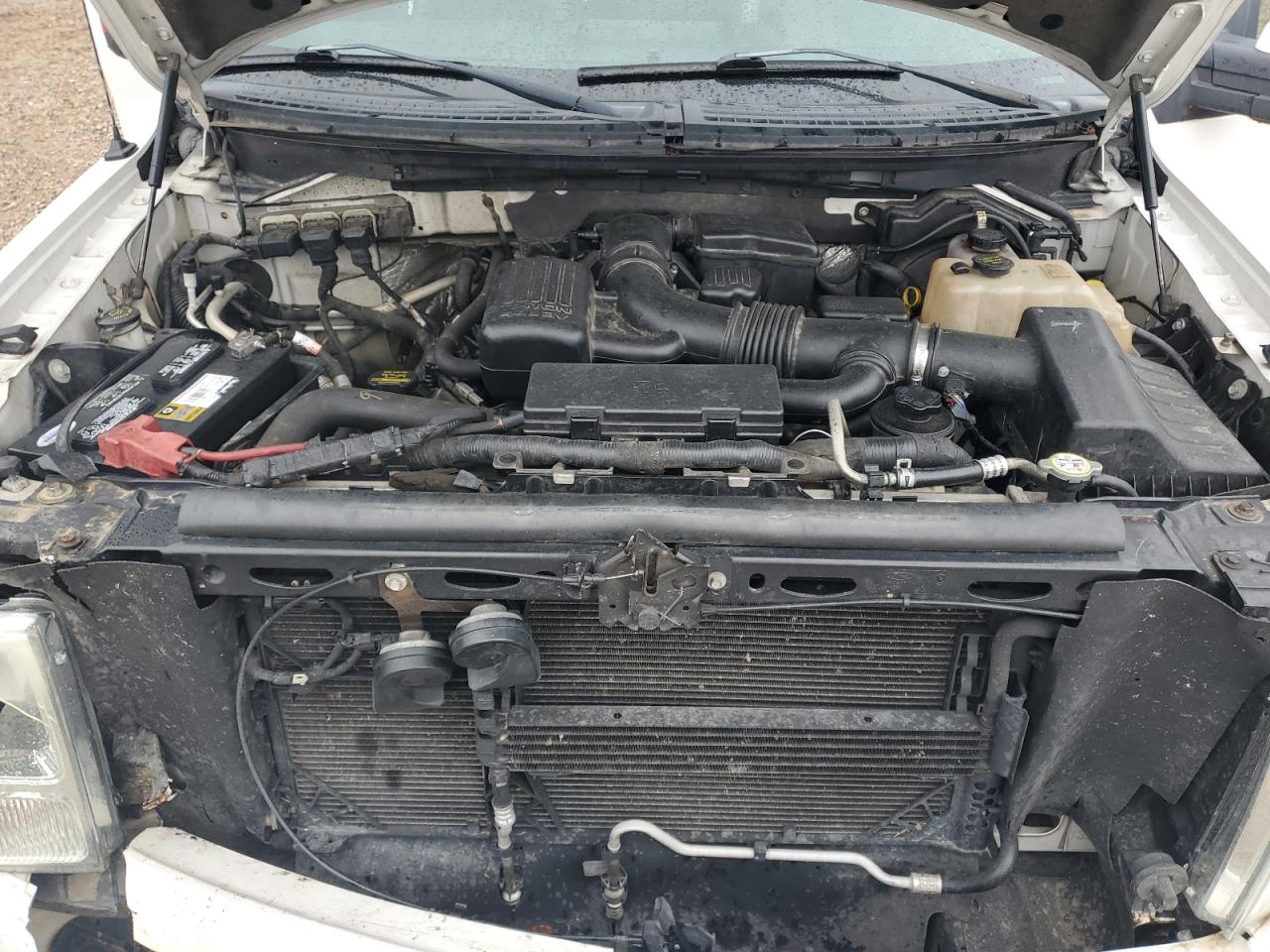 2010 Ford F-150 - Image 12