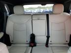 2022 Cadillac Xt5 Sport for Sale in West Palm Beach, FL - Front End