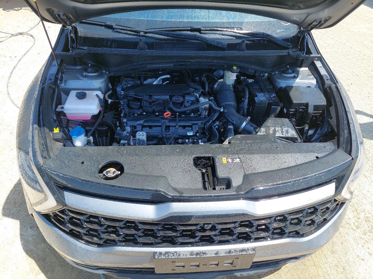 LJD7AA1D1S0232689 - 2021 Kia Sportage - #50437425