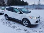 2015 FORD ESCAPE SE   à vendre chez Copart ON - LONDON