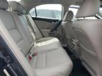 2013 Acura Tsx  for Sale in Apopka, FL - Front End