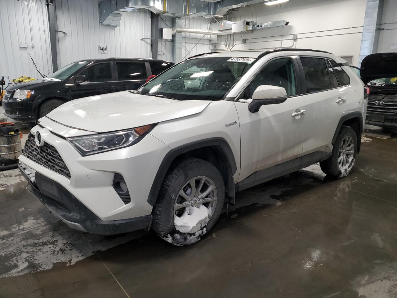 2019 Toyota RAV 4 - Image 1