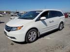 2014 Honda Odyssey Exl იყიდება Grand Prairie-ში, TX - Hail