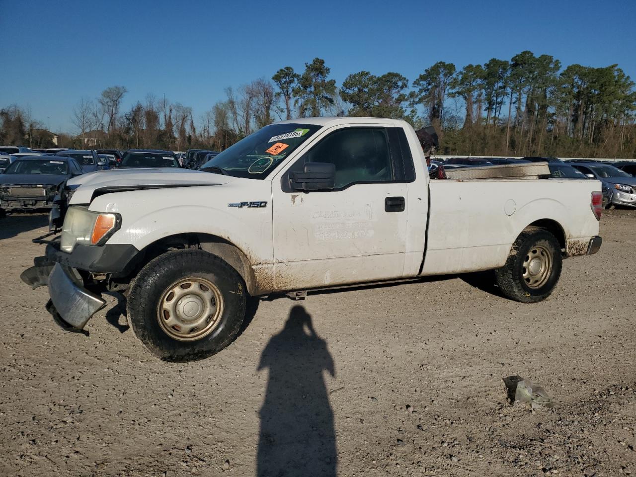 2010 Ford F150 на продаже в Houston, TX - Front End