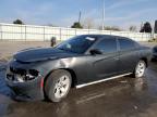 2015 Dodge Charger Se for Sale in Littleton, CO - Front End
