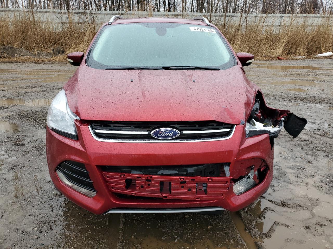 2014 Ford Escape - Image 5
