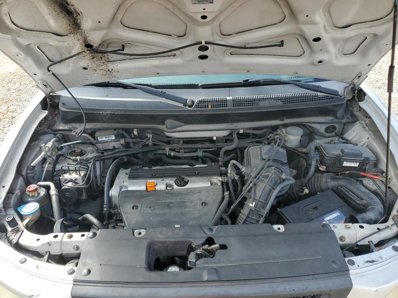 2006 Honda Element Ex VIN: 5J6YH187X6L006232 Lot: 51618975