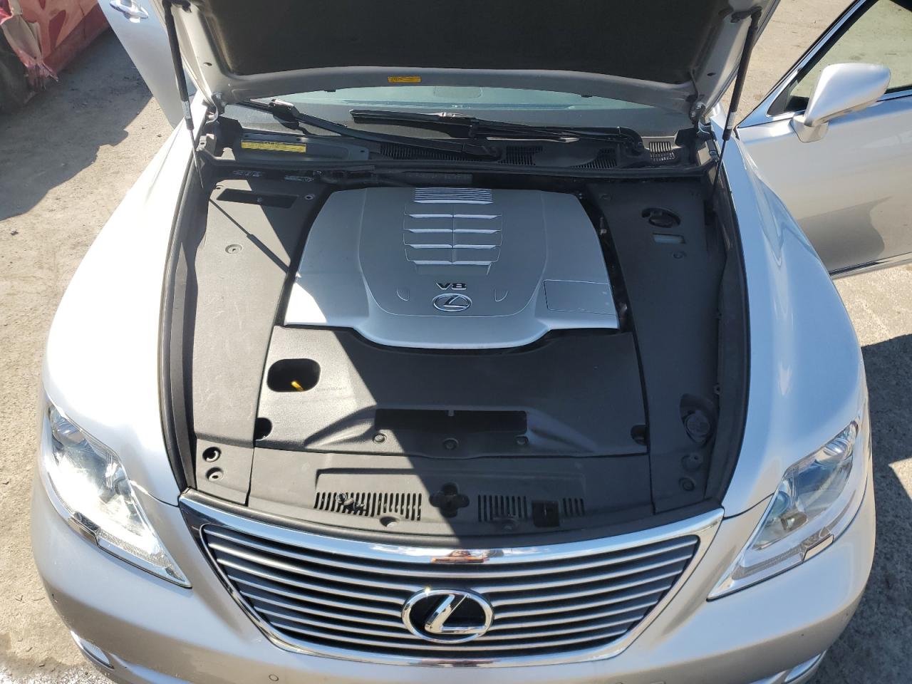 2007 Lexus Ls 460 VIN: JTHBL46F175016318 Lot: 49918745