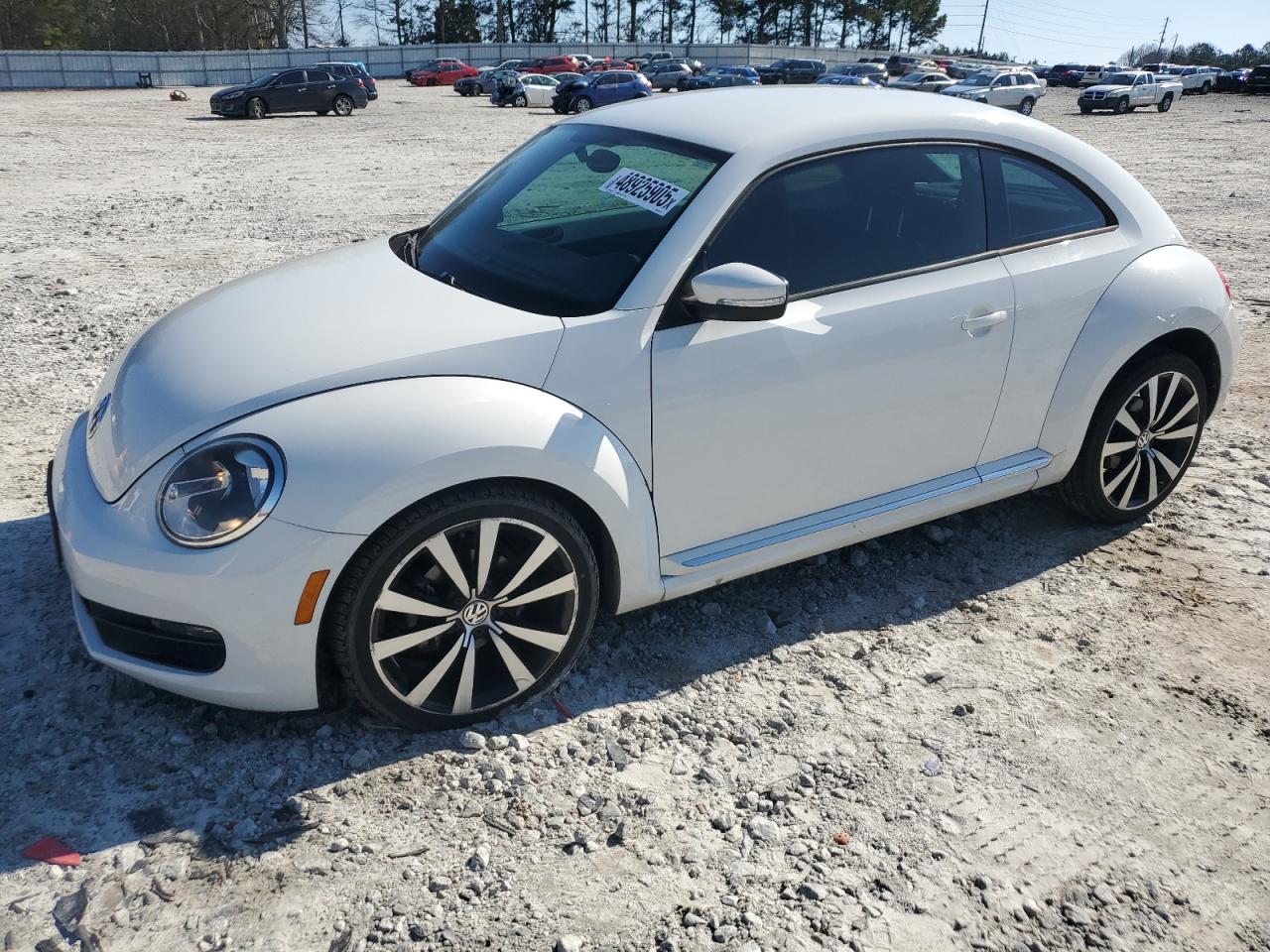 Volkswagen Beetle