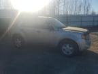 2011 Ford Escape Xlt იყიდება Arlington-ში, WA - Minor Dent/Scratches