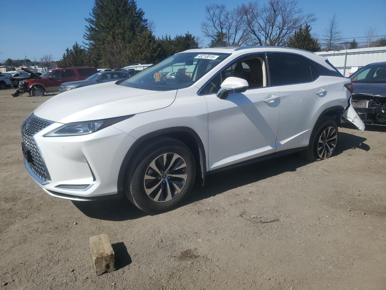 2021 Lexus RX - Image 1