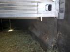 1998 Featherlite Horse Trailer იყიდება Wichita-ში, KS - Rear End