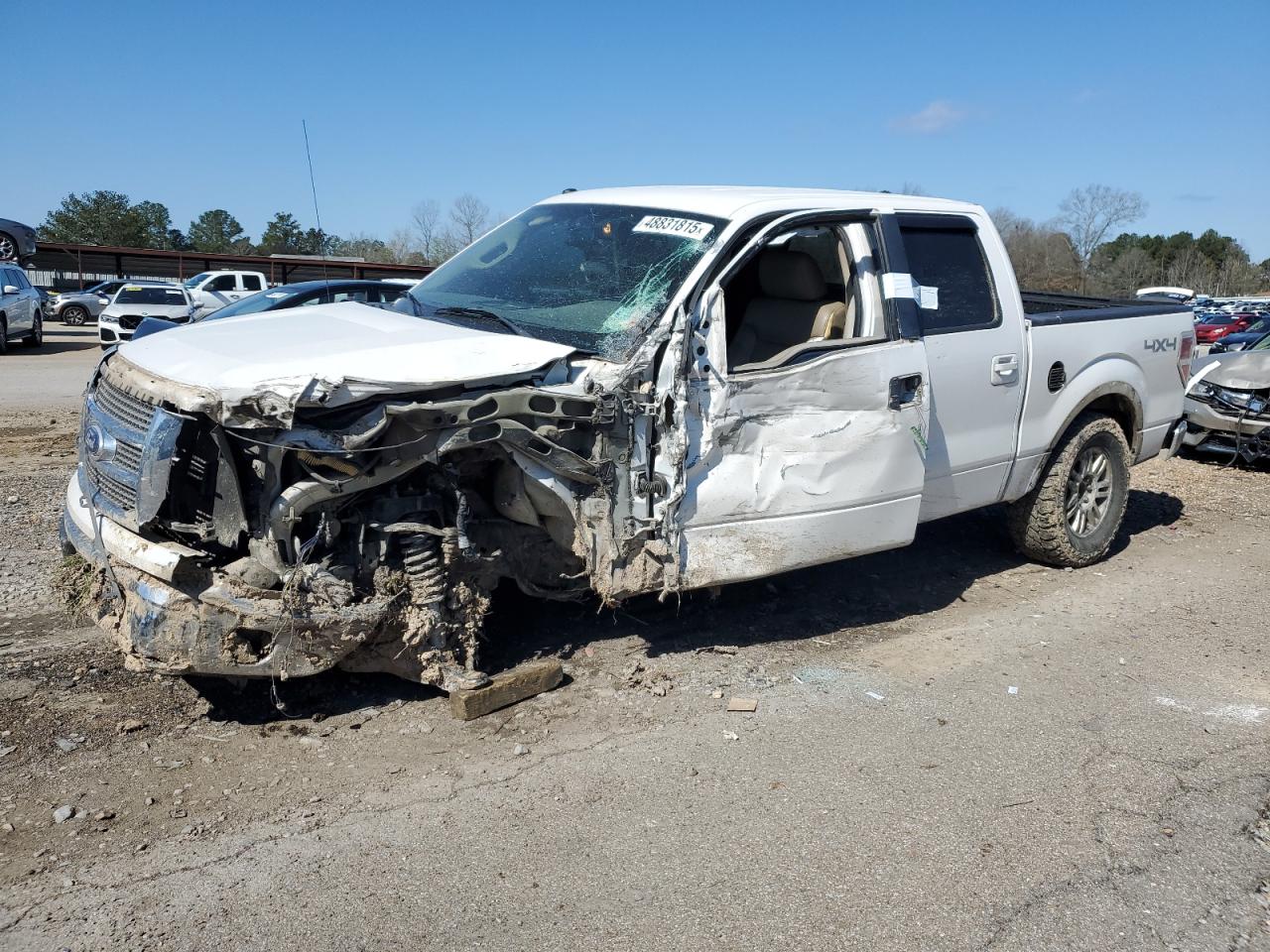 2010 Ford F-150 - Image 1