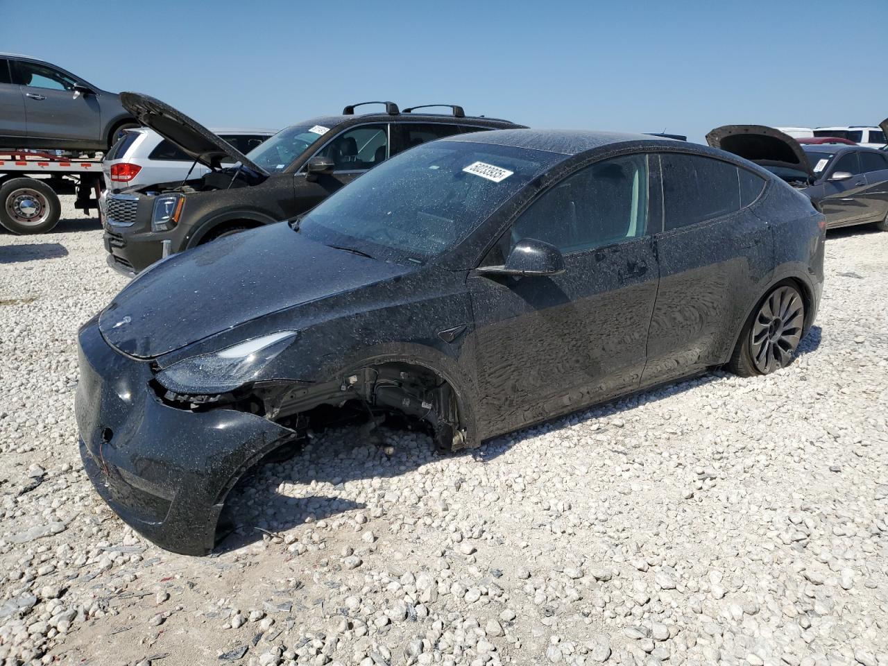 2023 Tesla Model Y на продаже в Temple, TX - Front End