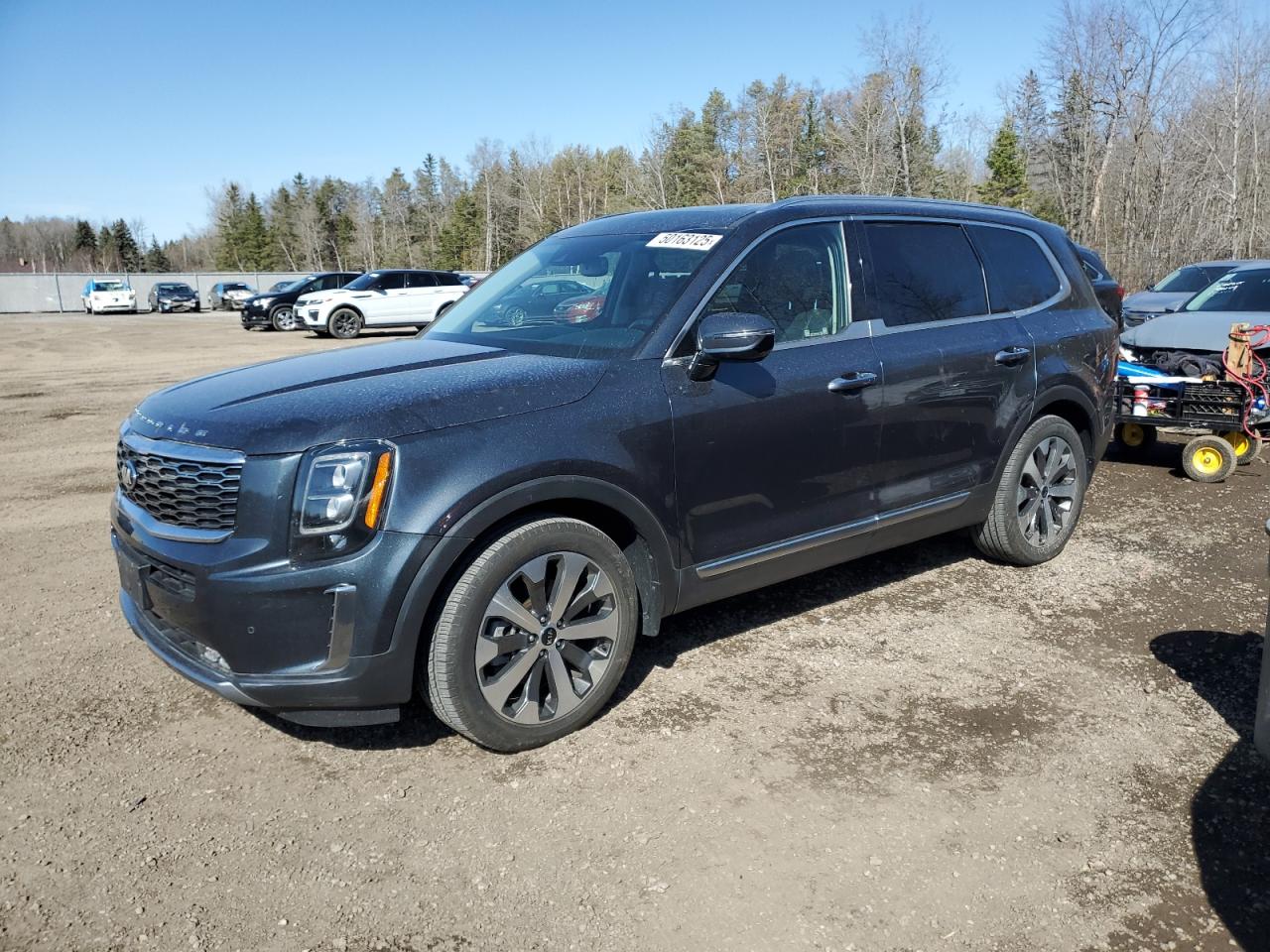 2021 Kia Telluride Sx VIN: 5XYP5DHC2MG145658 Lot: 50163125