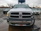 2009 Dodge Ram 1500  for Sale in Chicago Heights, IL - All Over