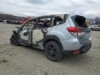 2023 Subaru Forester Wilderness na sprzedaż w Duryea, PA - Burn