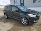 2015 Ford Escape Titanium за продажба в Bismarck, ND - Hail