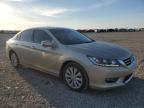 2013 Honda Accord Exl იყიდება Earlington-ში, KY - Hail