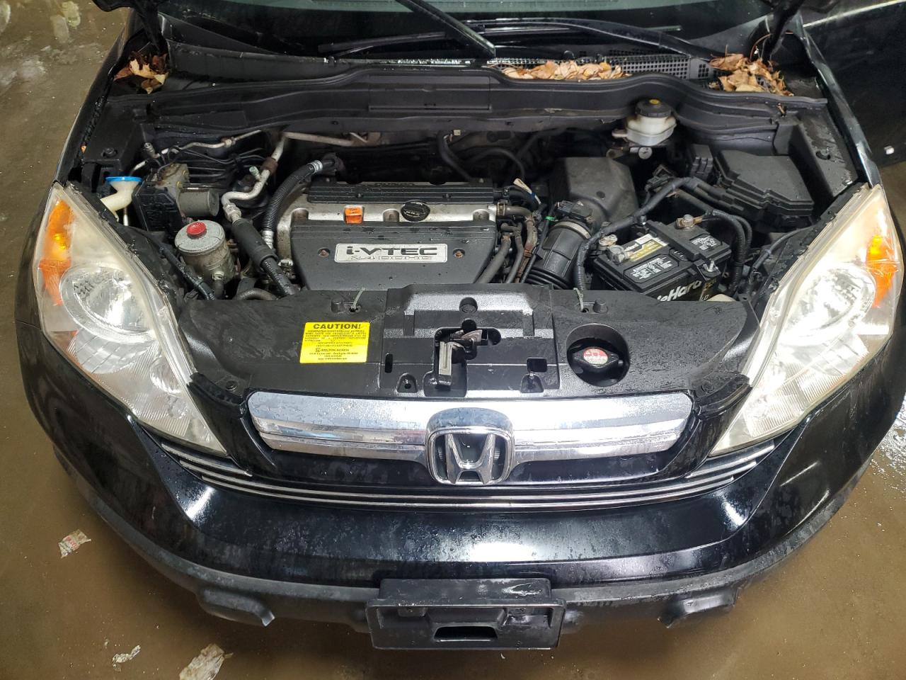 2007 Honda Cr-V Exl VIN: JHLRE48747C071943 Lot: 48803725