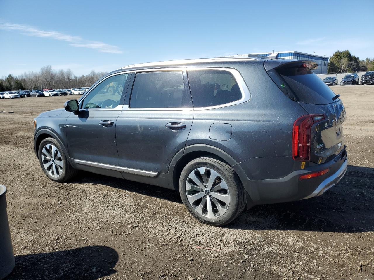 2021 Kia Telluride Sx VIN: 5XYP5DHC2MG145658 Lot: 50163125