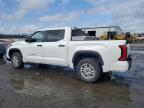 2024 Toyota Tundra Crewmax Sr for Sale in Lumberton, NC - Front End