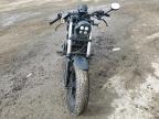 2024 Honda Cmx300 A for Sale in San Martin, CA - All Over