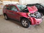 2008 Ford Escape Xlt en Venta en Ham Lake, MN - Front End