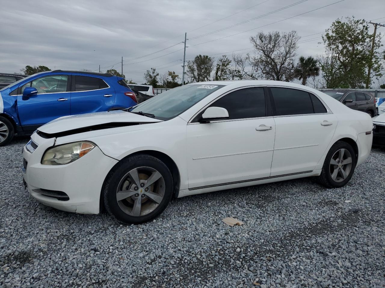 2011 Chevrolet Malibu - Image 1